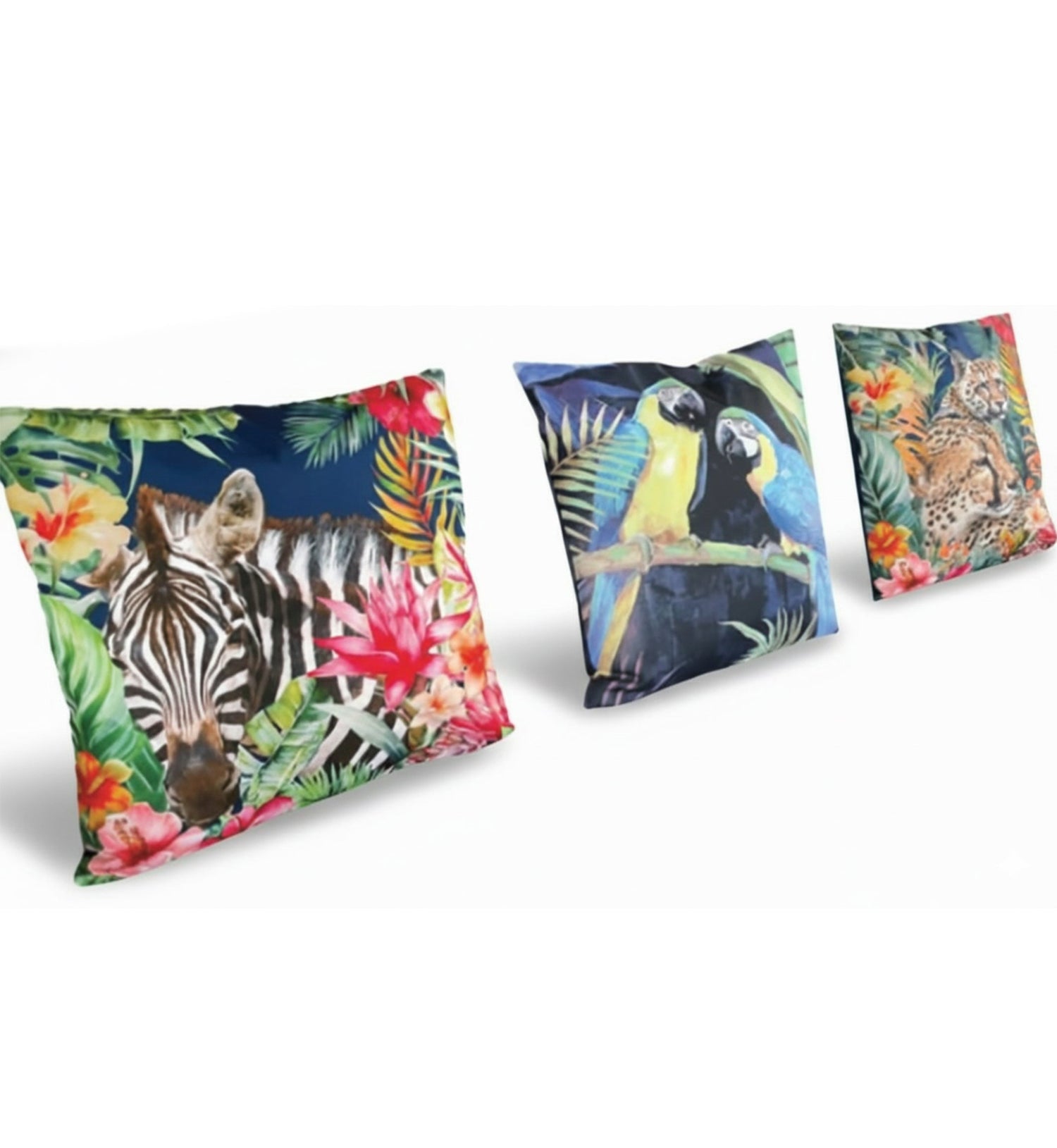Outdoor Collection